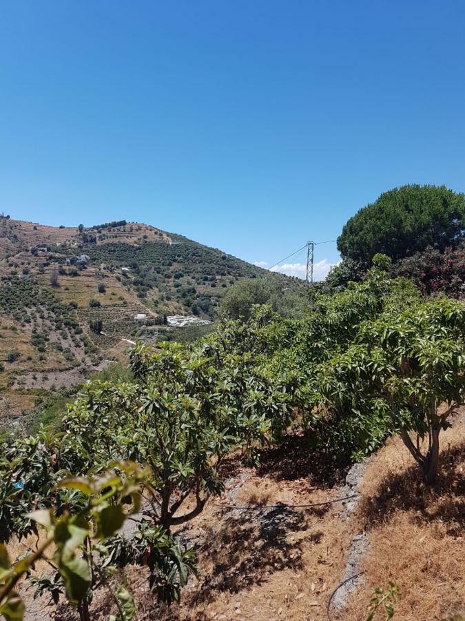 Casa Algill Villa Torrox Dış mekan fotoğraf